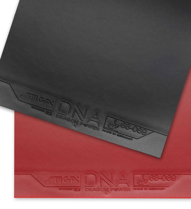 Stiga DNA Dragon Power 55