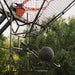 Airborne Athletics | Dr Dish IC3 | Basketball Shot Trainer