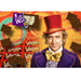 Elaut | Willy Wonka | Coin Pusher Arcade| Ticket Redemption Game - 1 | 2 | 6 Player