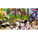 Raw Thrills | T - Rex Safari VR Full Motion Adventure Arcade Game