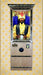 Zoltar | Fortune Teller - Economy Edition | Arcade Machine | Affordable